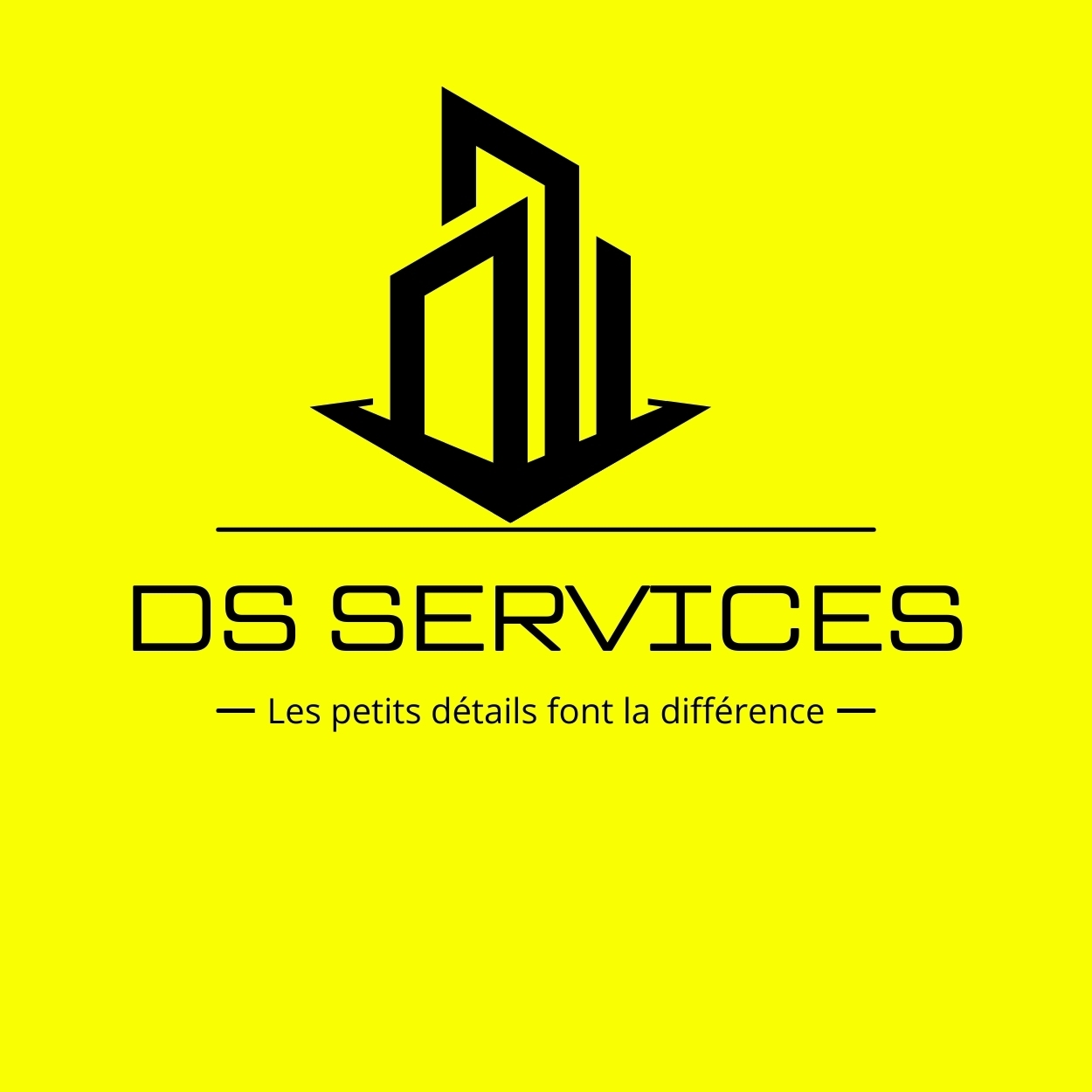 DS SERVICES